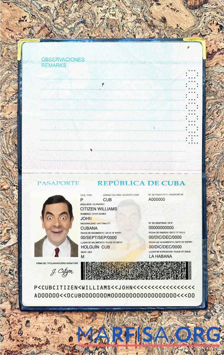 Blank Cuba passport photo look template
